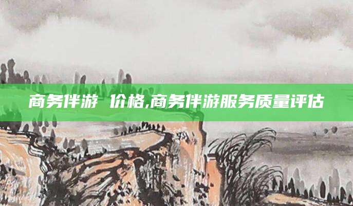 新安商务伴游 价格,商务伴游服务质量评估